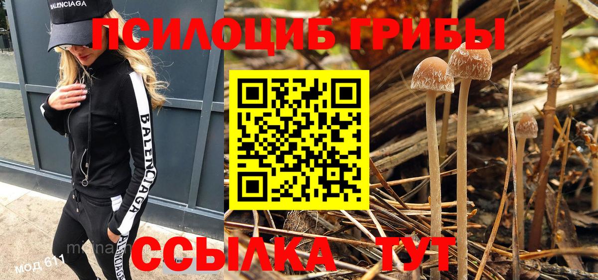 Псилоцибиновые грибы Magic Shrooms  Галлюциногенные грибы Cubensis  Стрежевой  Вход с VPN 